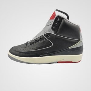 Air Jordan 2 Retro