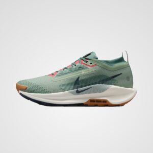Nike Pegasus Trail 5 Gore-Tex