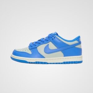 Nike Dunk Low GS